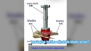 rotazione della lama della guida regolabile Kaplan.